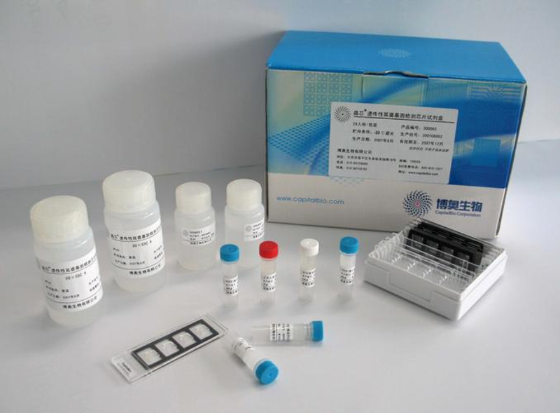 博森保洁投标公示最新消息:企业如何应对